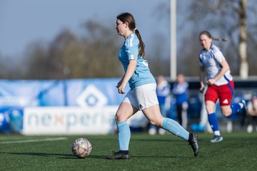 Bild 300 - F Hamburger SV 3 - Blau-Weiss 96 : Ergebnis: 5:1